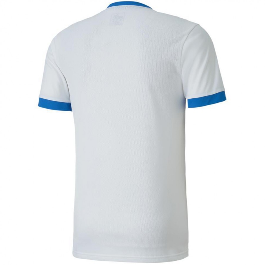 Koszulka męska Puma teamLIGA Jersey biało-niebieska